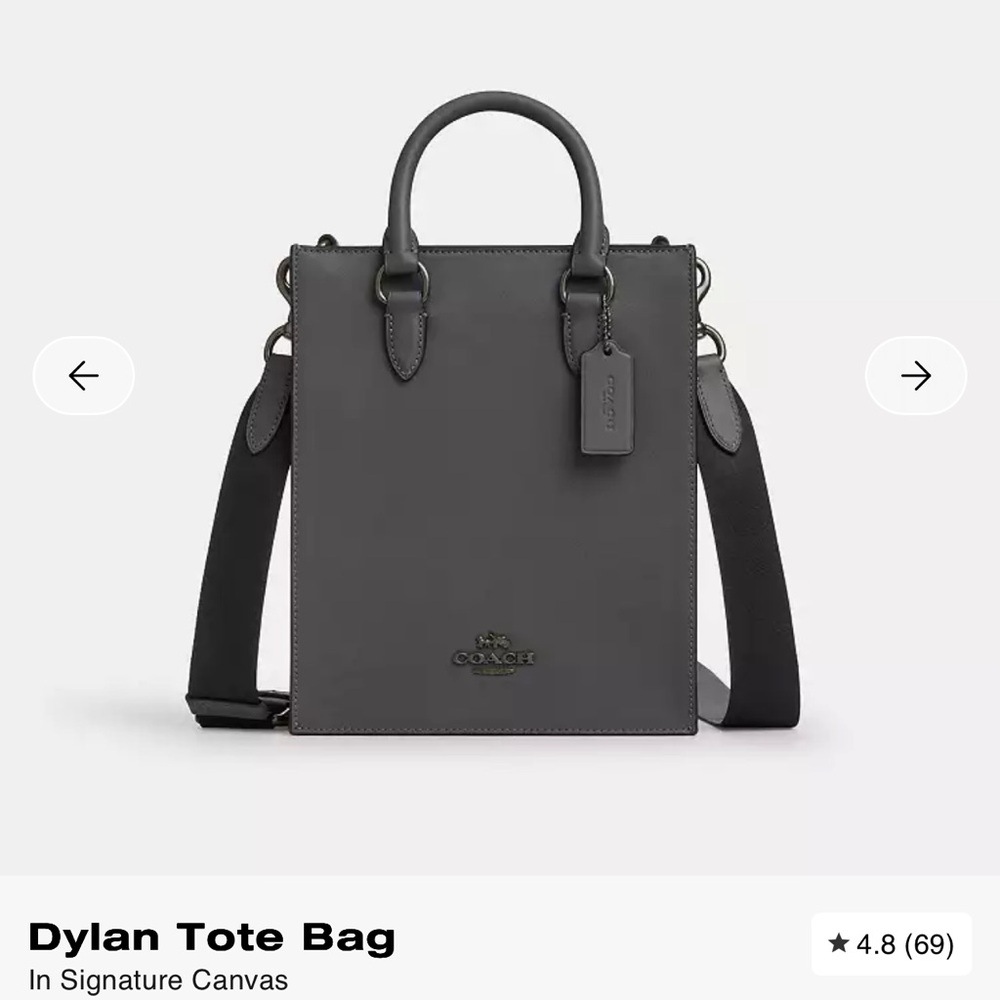 Coach Dylan Bag